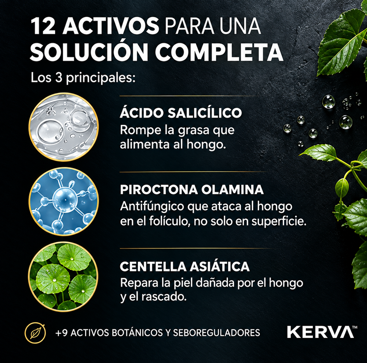 KERVA™ | Crema Antifúngica Permanente contra la Caspa y la Dermatitis Seborreica